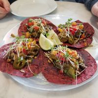 Tacos at Erpingham House in Norwich