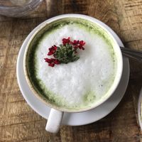 matcha latte  at Erpingham House in Norwich