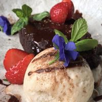 Brownie (AMAZING)  at Erpingham House in Norwich