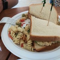 Chickpea salad sandwich with pasta salad at Sealantro in Vero Beach