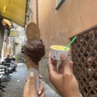 SO GOOD!!! So many vegan flavors  at Antica Gelateria in Sorrento