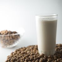 Horchata de Chufa is a typical Spanish summer drink made  from soaked, ground and sweetened tiger nuts a typical nut that grows in some regions of Spain and North of Africa. at Planelles Donat in Barcelona