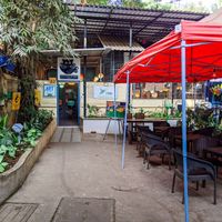 Outside of Cat Cafe Studio at Cat Cafe Studio in Mumbai