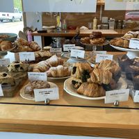 Multiple vegan options in the baked goods case at Fiddlehead Fern Cafe in St Louis