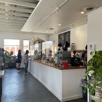   at Fiddlehead Fern Cafe in St Louis