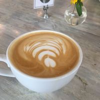 Lavender rose latte at Fiddlehead Fern Cafe in St Louis