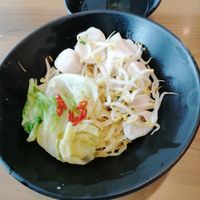 Vegetarian fish ball noodles at Green Age 善提素 in West Singapore