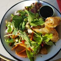 Le Imperial Vegan at Hanoi Ca Phe in Lyon