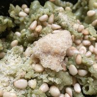 Basil Pesto at Pastabilities in Syracuse