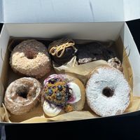   at VEERA in Missoula