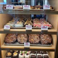   at VEERA in Missoula