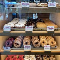   at VEERA in Missoula