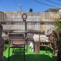 Pet friendly. Theremy dog enjoying the chill live music from the roof.  at Mad Irie in Crete
