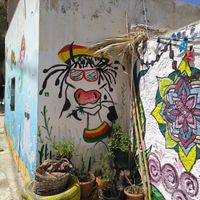 The happy cow 😁 at Mad Irie in Crete