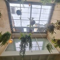 Jardins suspenso at Noshi Coffee in Porto