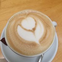 Capuchino de aveia at Noshi Coffee in Porto