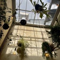   at Noshi Coffee in Porto