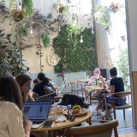   at Noshi Coffee in Porto