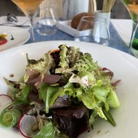 Mixed salad   at Da Gabrisa in Positano