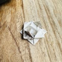   at Lola Rosa - Places des Festivals in Montreal