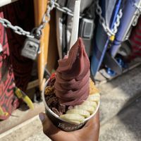 The Amazon  at Banan - Waikiki in Honolulu