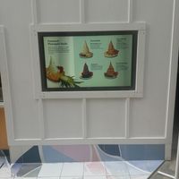   at Banan - Waikiki in Honolulu