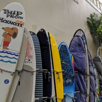 Look for the surfboards by Outrigger Waikiki Beach Resort at Banan - Waikiki in Honolulu