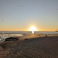 View from the outdoor tables at Vagas Bar in Matosinhos