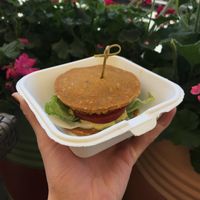 Beautiful raw burger at Rawtogo in Moscow