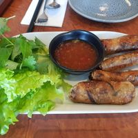 Vegan spring rolls at Blue Ginger Viet Kitchen in Carnegie