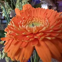   at Credible in Nijmegen