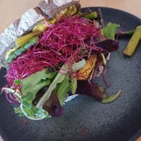  at Credible in Nijmegen