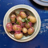 7 course degustation at Manfreds in Copenhagen