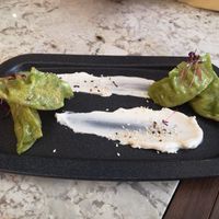 Vegetable Gyazos at The Green Affair - Saldanha in Lisbon