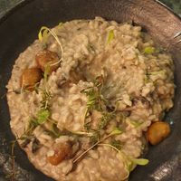 Risotto de champiñones y setas exquisito at The Green Affair - Saldanha in Lisbon