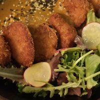 Falafel bowl at The Green Affair - Saldanha in Lisbon