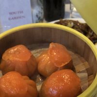 Vegetable dumplings  at South Garden in Romsey