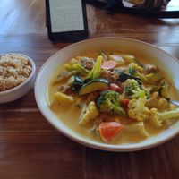 Curried 'mutton' with brown rice at Padmanadi in Edmonton