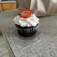 cupcake of the day  at Padmanadi in Edmonton