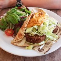 Falafel and Hummus at the Geographer at The Geographer in Fort William