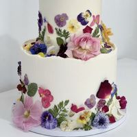   at BVKED in Reedy Creek