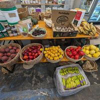 Fruit and veg at Waiheke Organic Food in Waiheke Island