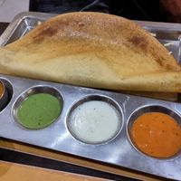  at Krishna Vilas in The Hague