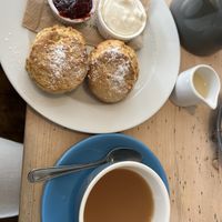 vegan cream tea   at The Honey Pot in Penzance
