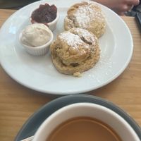 Vegan cream tea. Oat milk only and plain scone only but very tastyy  at The Honey Pot in Penzance