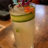   at Koocha Mezze Bar in Bristol