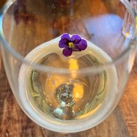  at Koocha Mezze Bar in Bristol