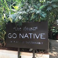 Feels hidden away from the hustle and bustle  at Go Native - Jayanagar in Bangalore