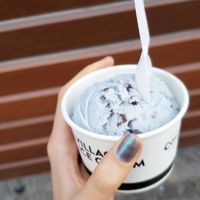 Village vegan icecream at Village Ice Cream - Victoria Park in Calgary