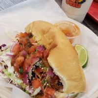 Soyrizo torata at Guacamaya Oasis in Downey